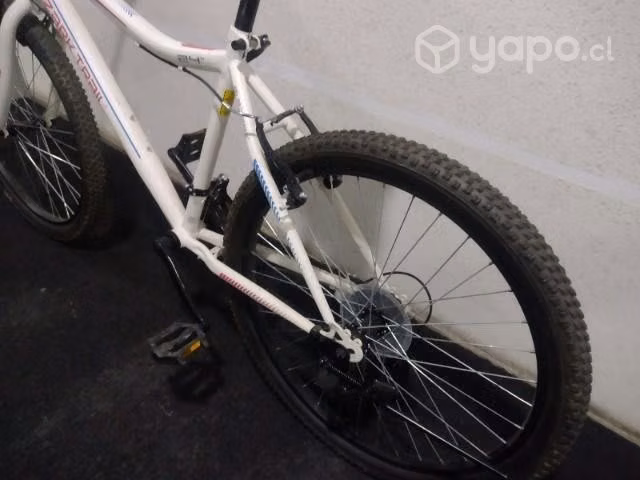 Bicicleta mujer