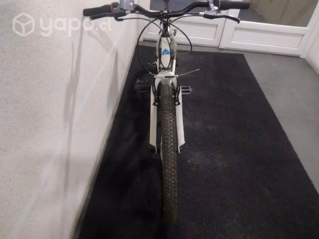 Bicicleta mujer