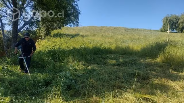 Parcela 5000m2 cerca Lago Ranco con Rol Propio
