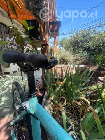 Bicicleta pistera - Imagen 3