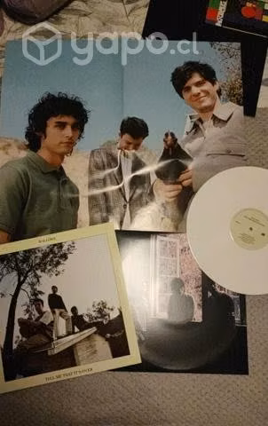 Vinilos de Wallows