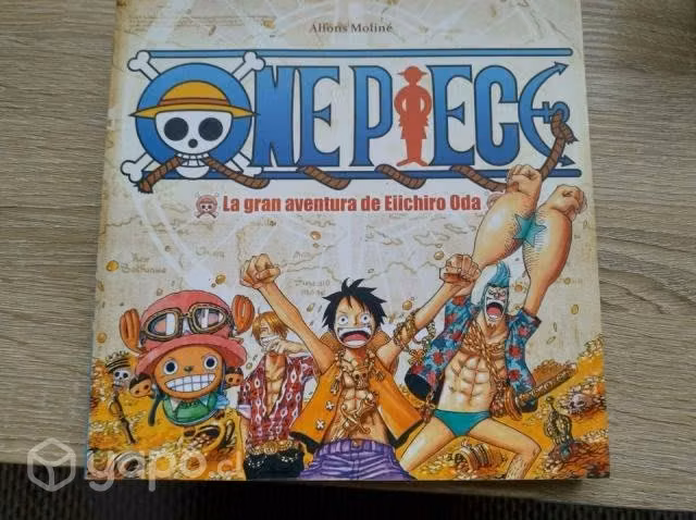 Libro de One piece