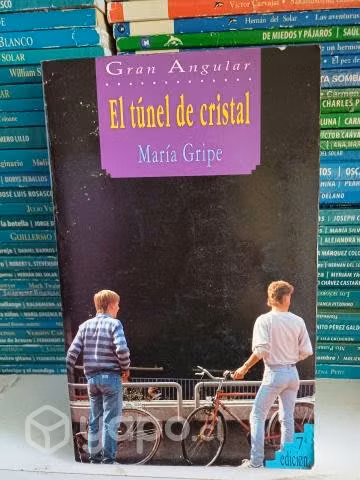 El Túnel de Cristal