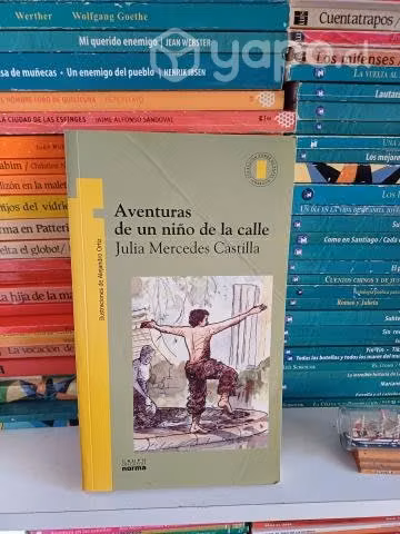 Aventuras de un Niño de la Calle
