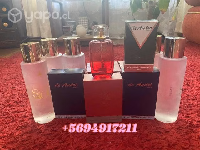 Perfumes en Quilpue - Imagen 6