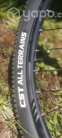 Bicicleta Totem talla L