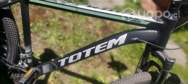 Bicicleta Totem talla L