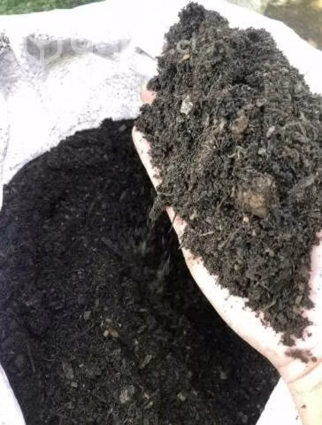 10 sacos de Tierra de Hojas Premium