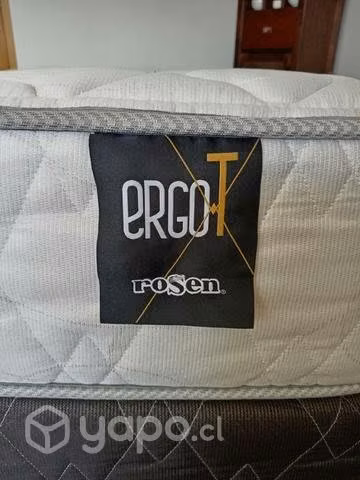 Cama nido 1.5 plaza Rosen, modelo Ergo-T