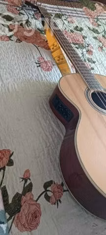Bajo Electroacustico Leonard - Imagen 3