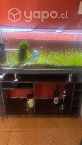Acuario de 1 metro completo