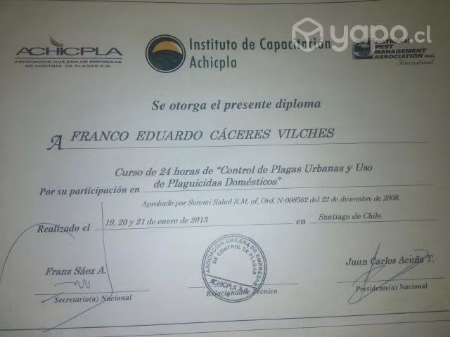 Termitas chinches rm y v region