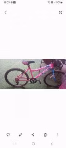 Vendo por viaje