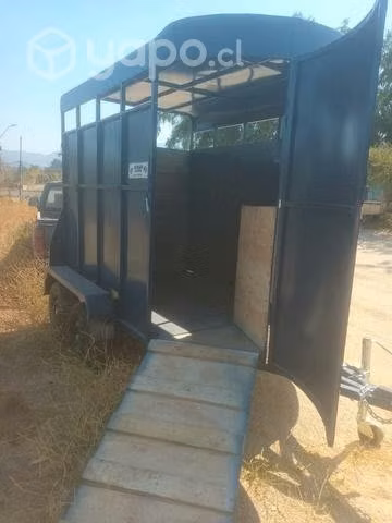 Carro nuevo para 2 caballos