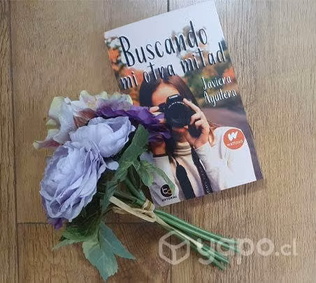 Libro Buscando mi otra mitad