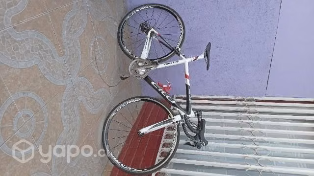 Pistera carbono