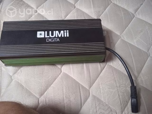 Lumii digital