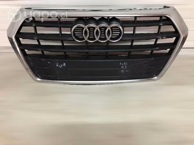 Mascara audi q