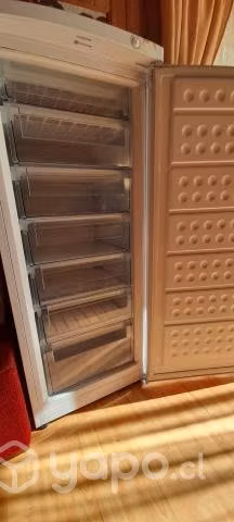 Congelador vertical BD 182 Maigas