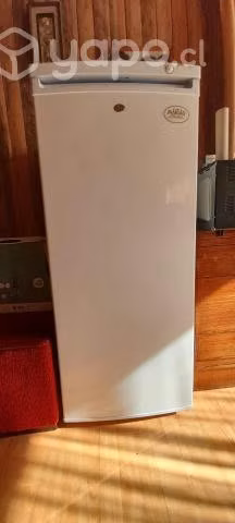 Congelador vertical BD 182 Maigas