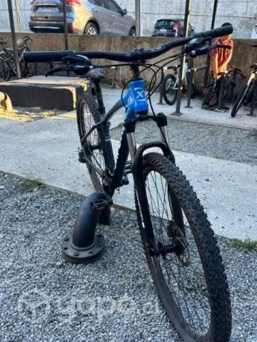 Bicicleta - Imagen 3