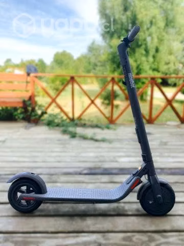 Scooter eléctrico Segway Ninebot E22