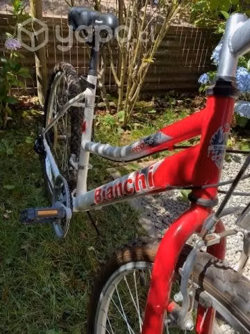 Bicicletas