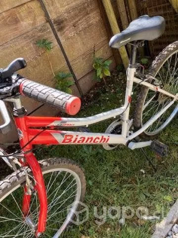 Bicicletas