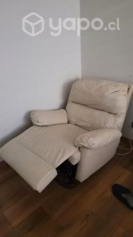 Bergere Rosen