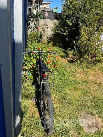 Bicicleta Trek - Imagen 2