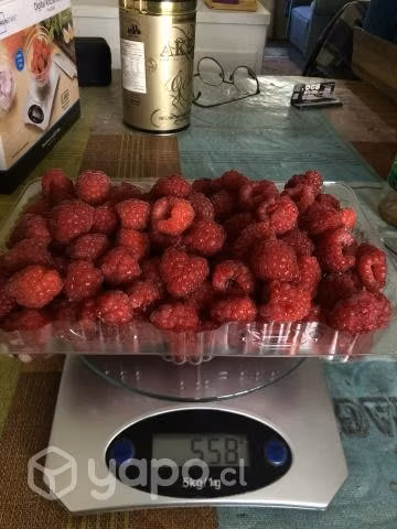 Frambuesas a pedido