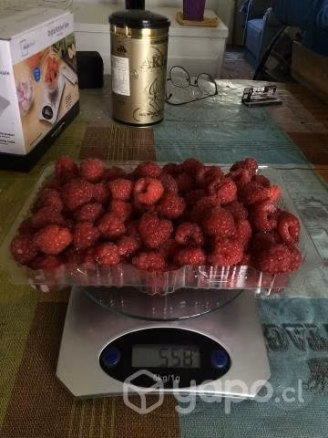 Frambuesas a pedido