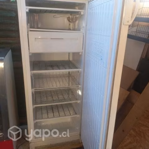 Congelador por renovación