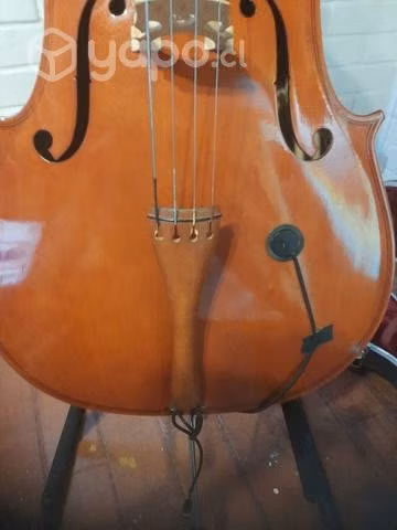 Violonchello - Imagen 6
