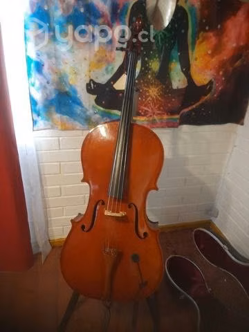 Violonchello