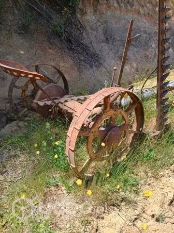 Maquina pastera
