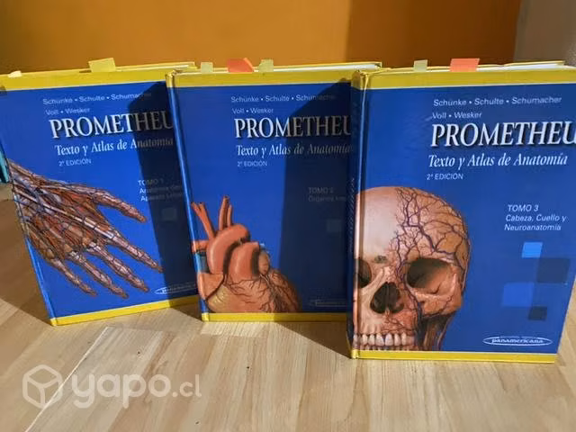 Libros anatomia prometheus tomo 1,2 y 3