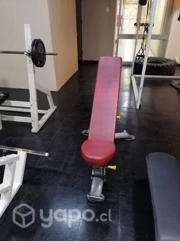 Banca Plana Profesional Reclinable