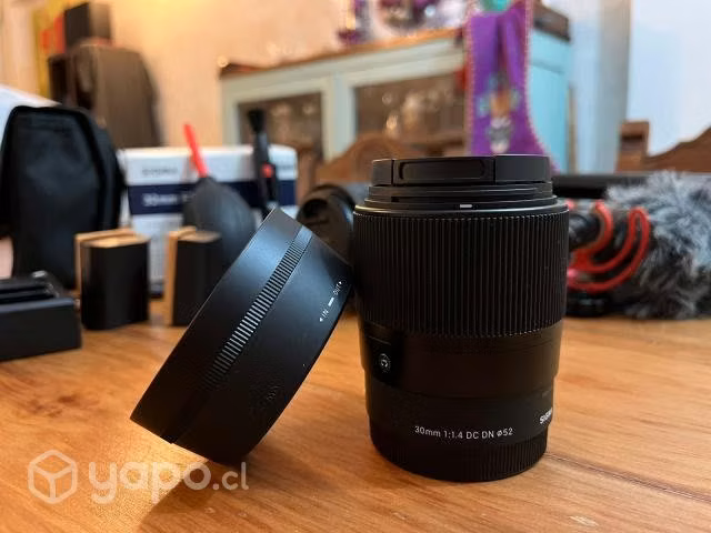 Sony A6600 más lentes y accesorios