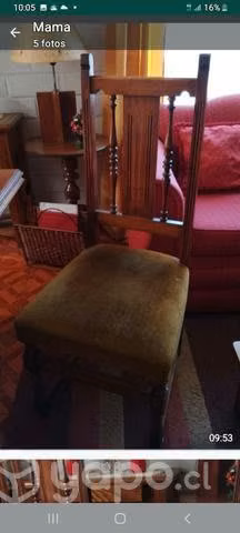 Comedor eucaliptus