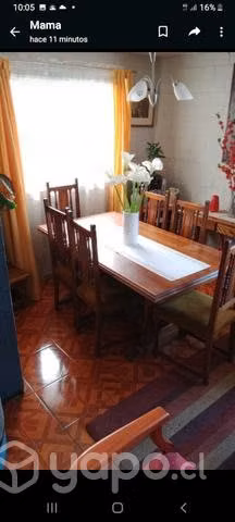 Comedor eucaliptus