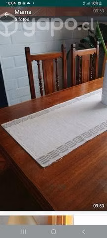 Comedor eucaliptus