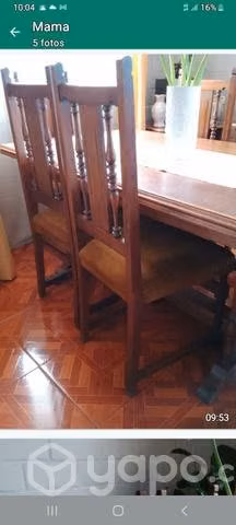 Comedor eucaliptus