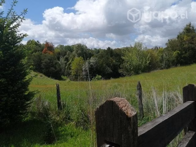 PARCELA 10.000 m2 ( 1 Ha. ) VALDIVIA