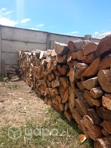 Leña Seca