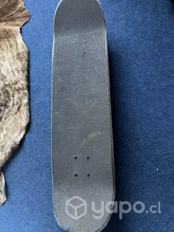 Skate polémic