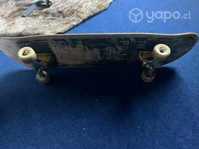 Skate polémic