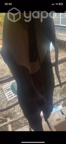 Traje tabla aletas surf