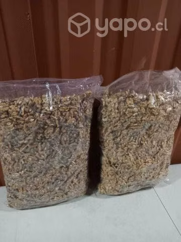 Nueces