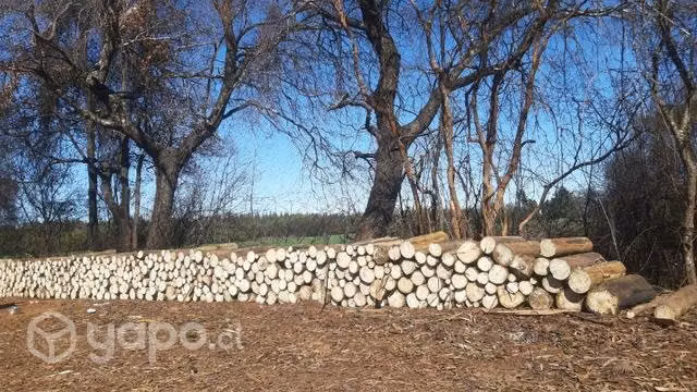 Leña de a 1mt